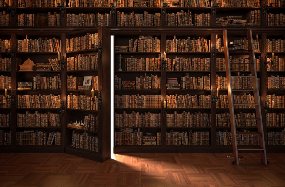 Книжные полки в библиотеке