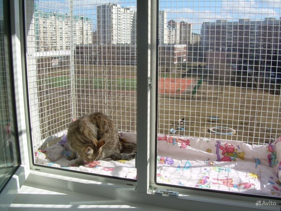 Вольер для кошек на окно