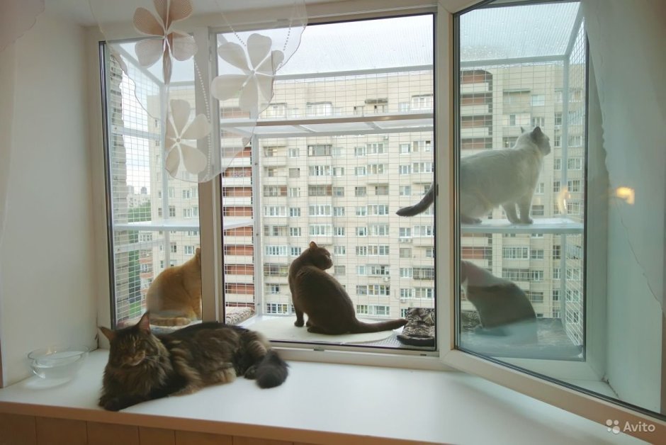 Балкон для кошки