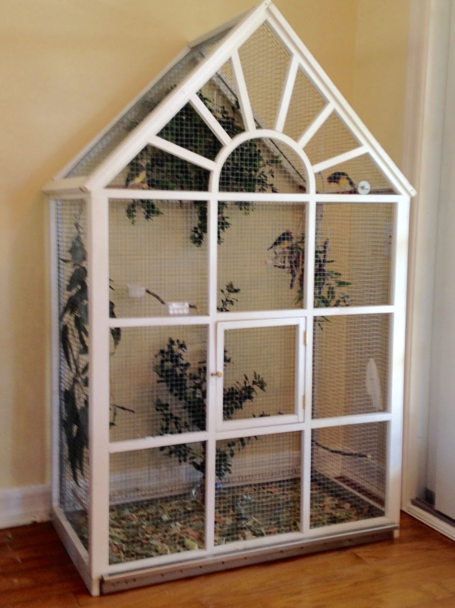 Aviary Cages