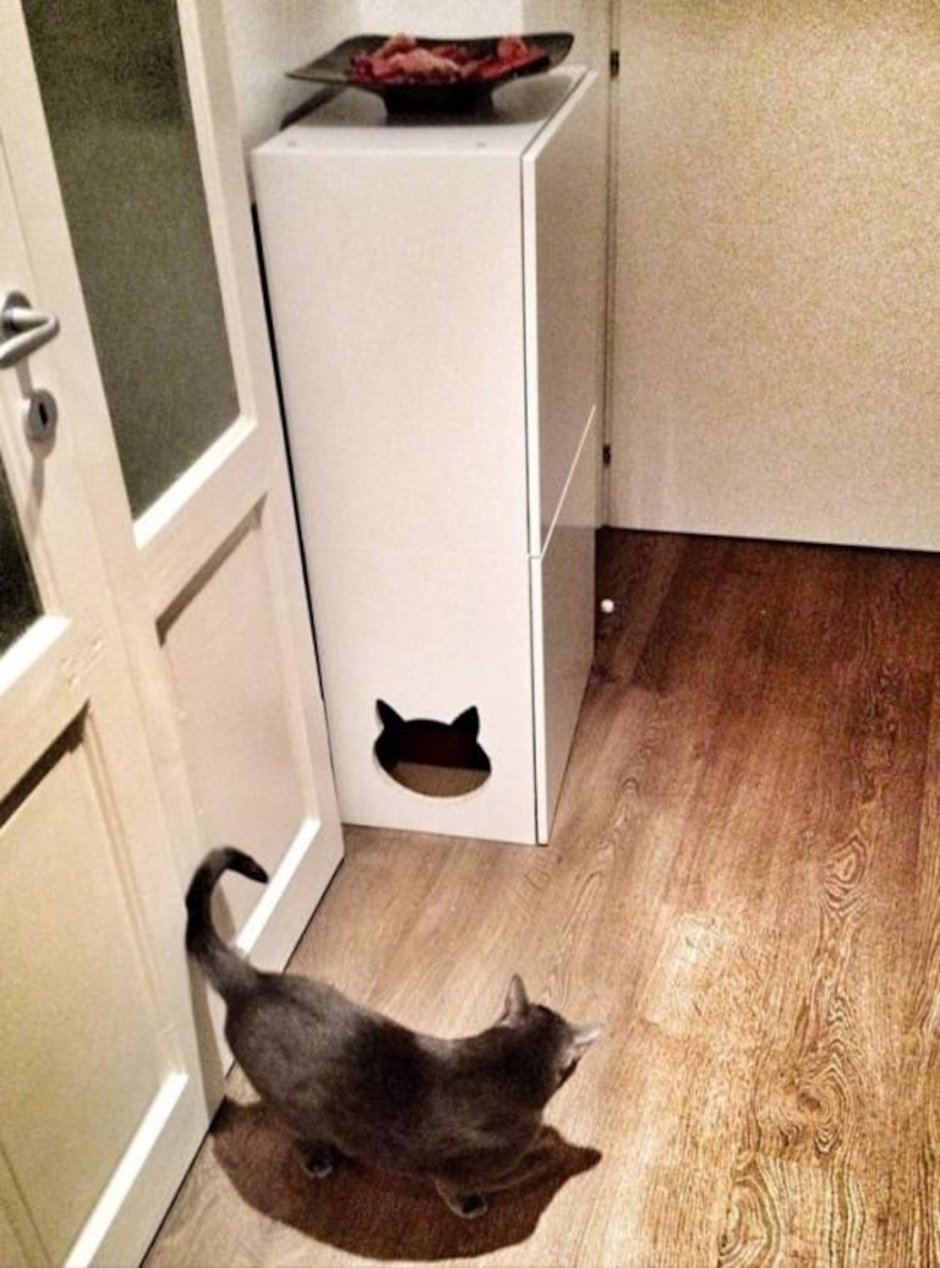 Кошачий туалет в шкафу