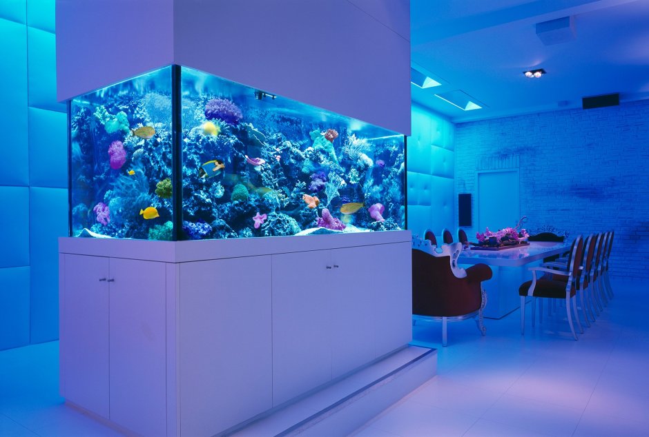 Aquaworld / аквариум