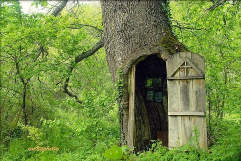Часовня св Анны в стволе дерева Франция