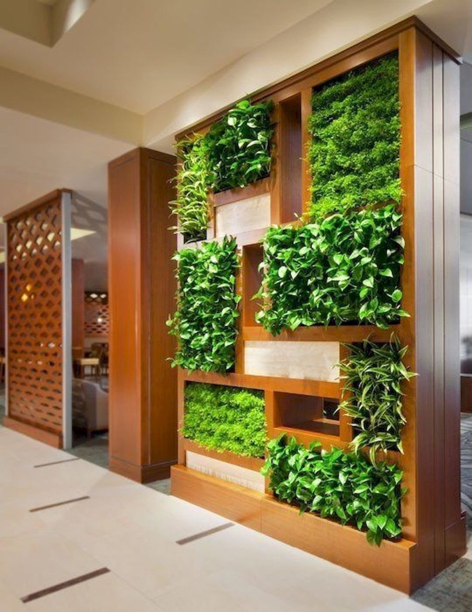Green Sun фитостены