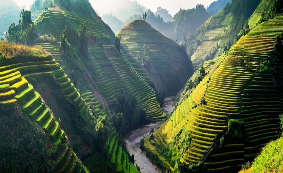 Рисовые террасы Вьетнам