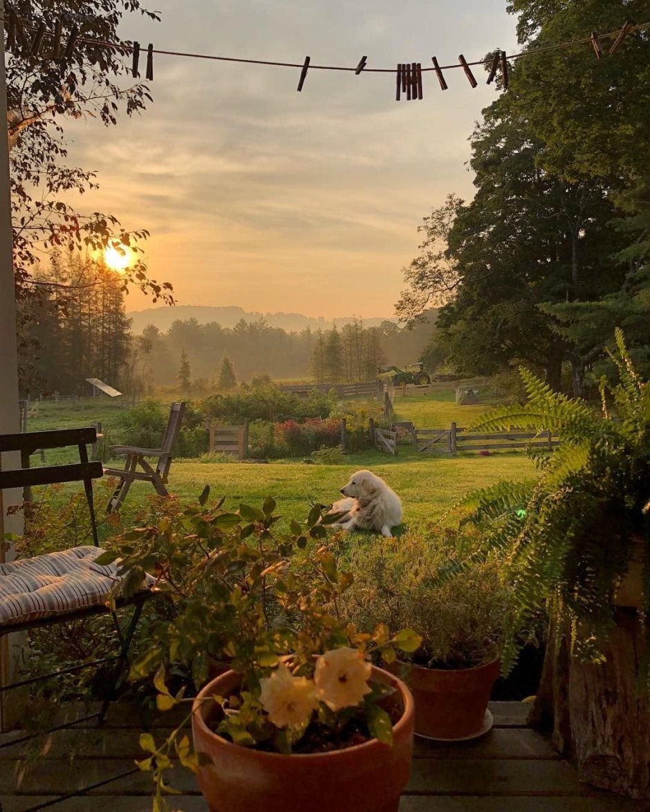 Cottage aesthetic деревня