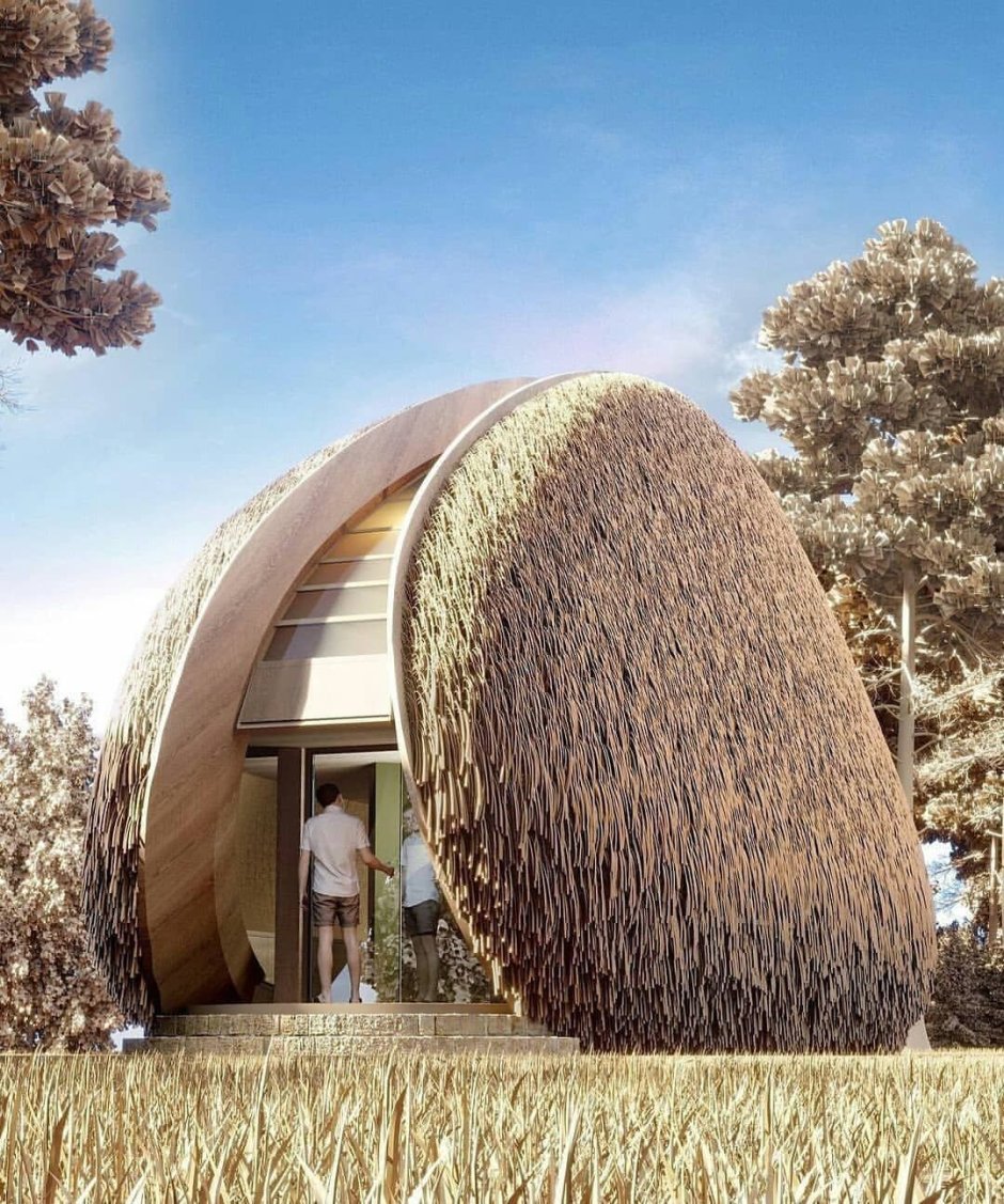 Shell House