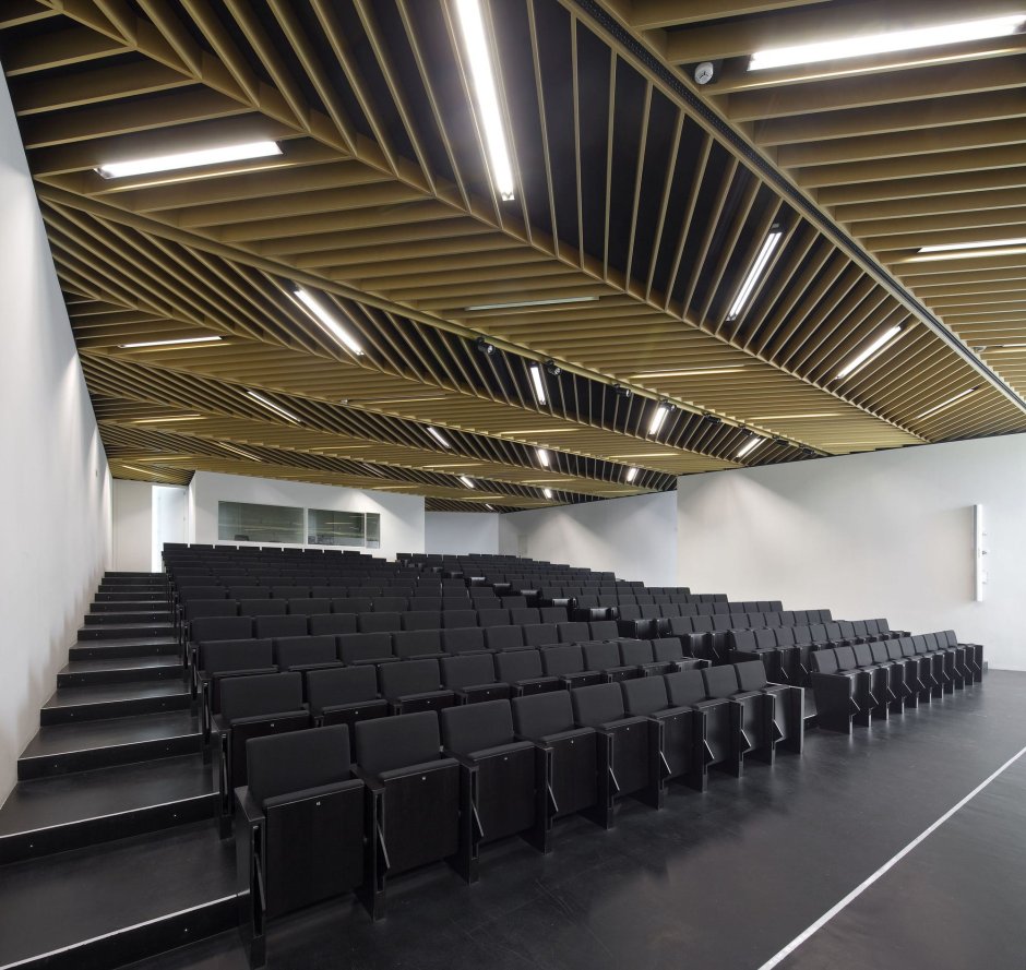 Университет Auditorium