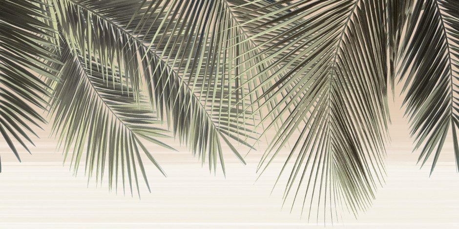 Плитка с листьями пальмы