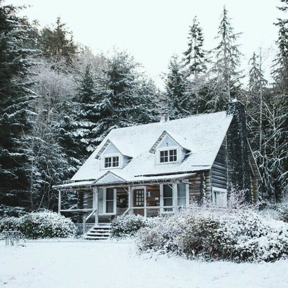 Зимний дом в Америке