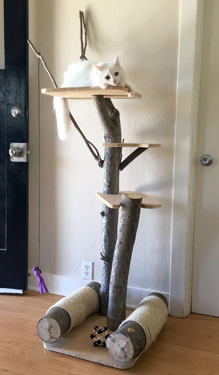 Кошки на дереве