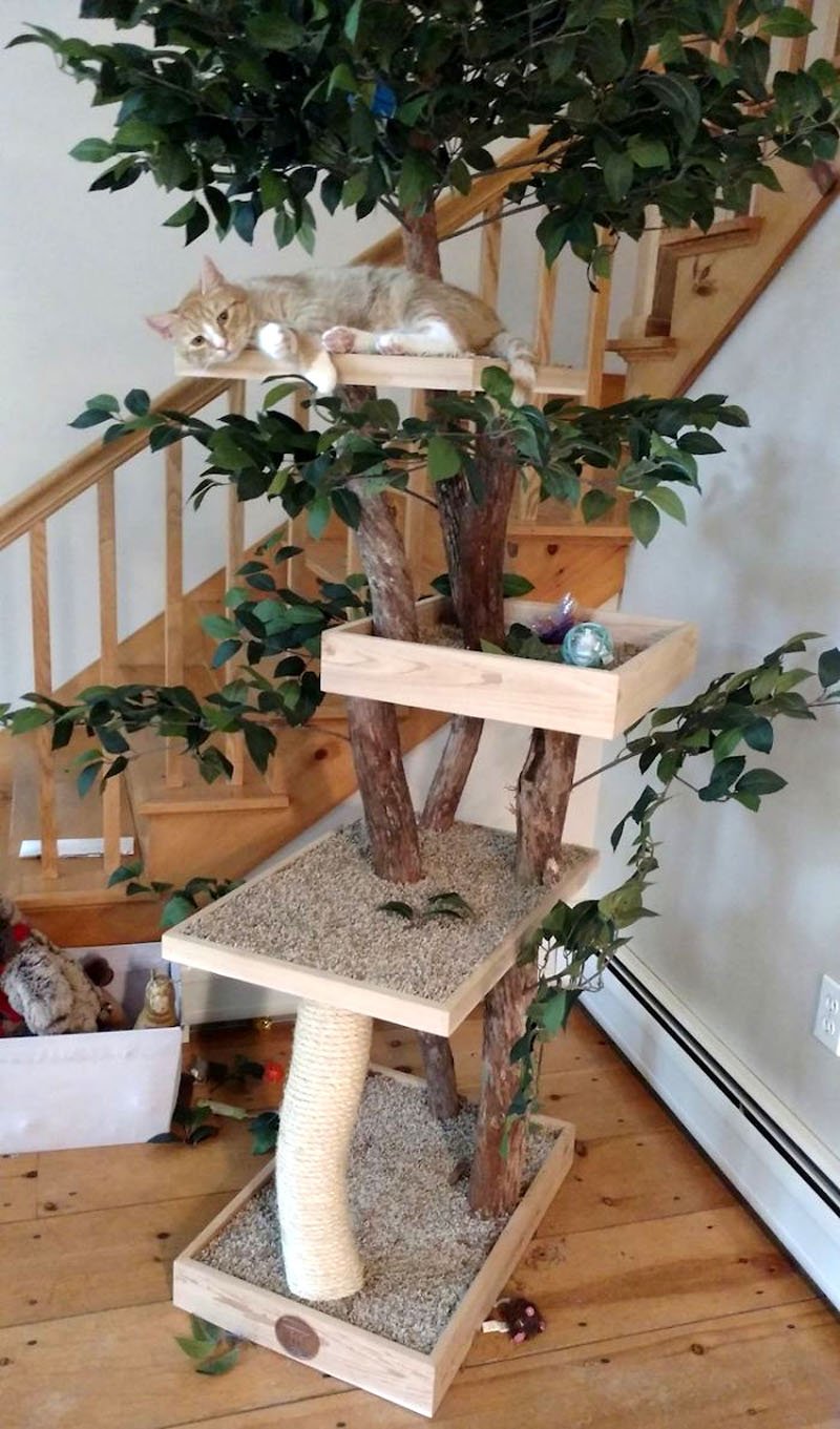 Кошачий домик дерево