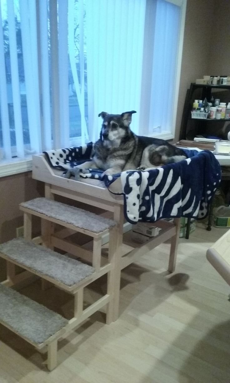 Лестница для собак на подоконник