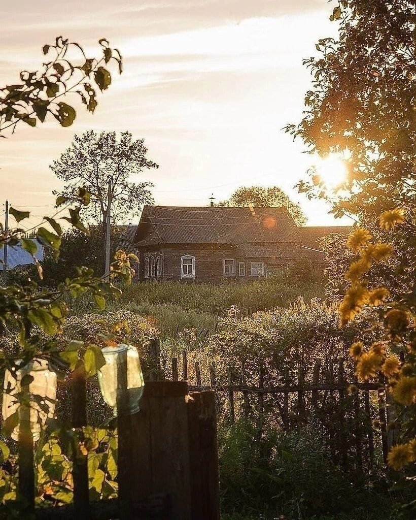 Лето в деревне Эстетика