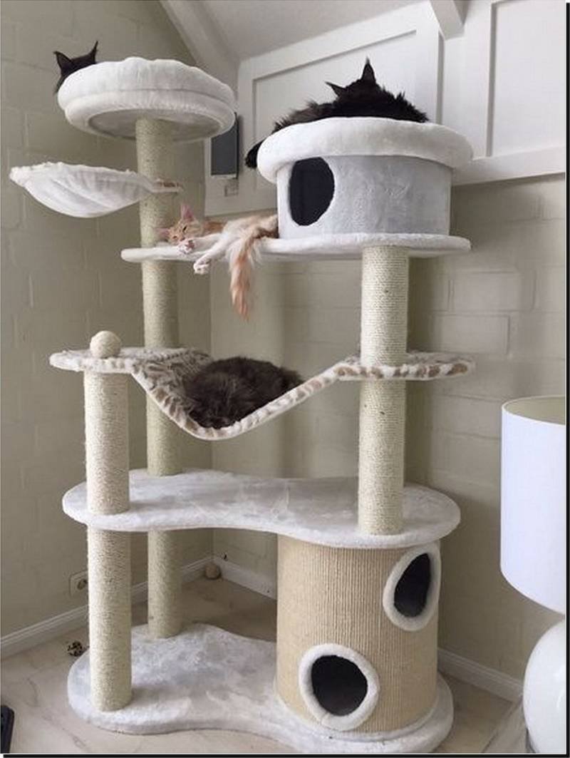 Красивые домики для кошек