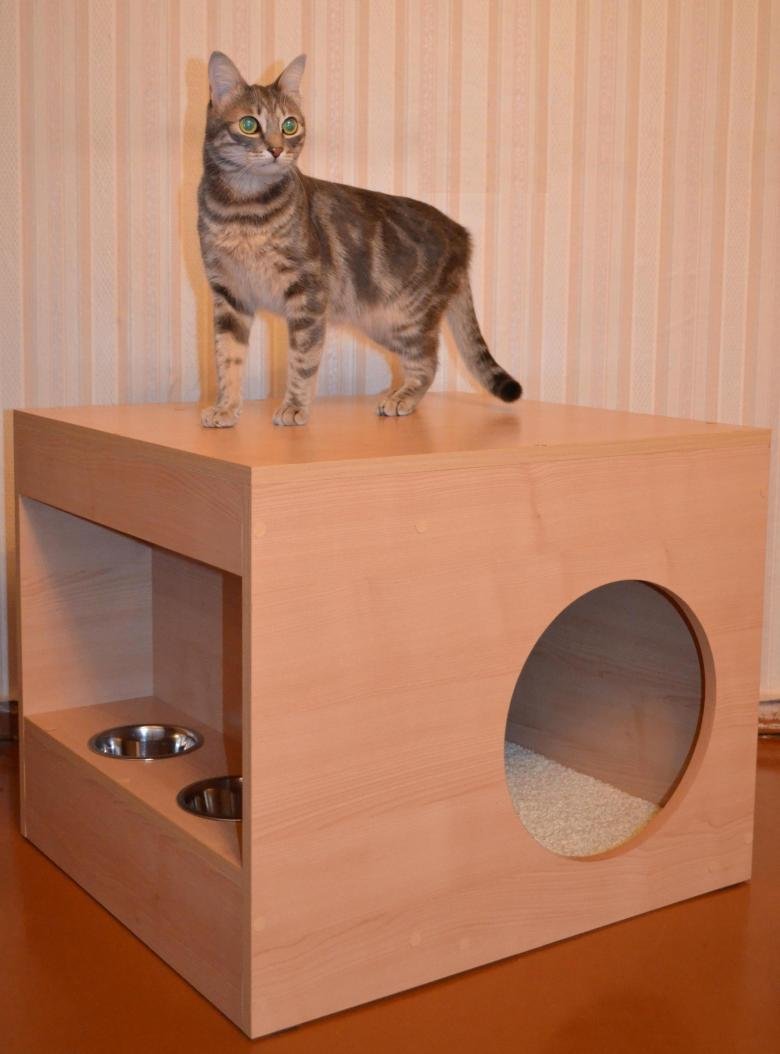 Кошачий дом из коробки
