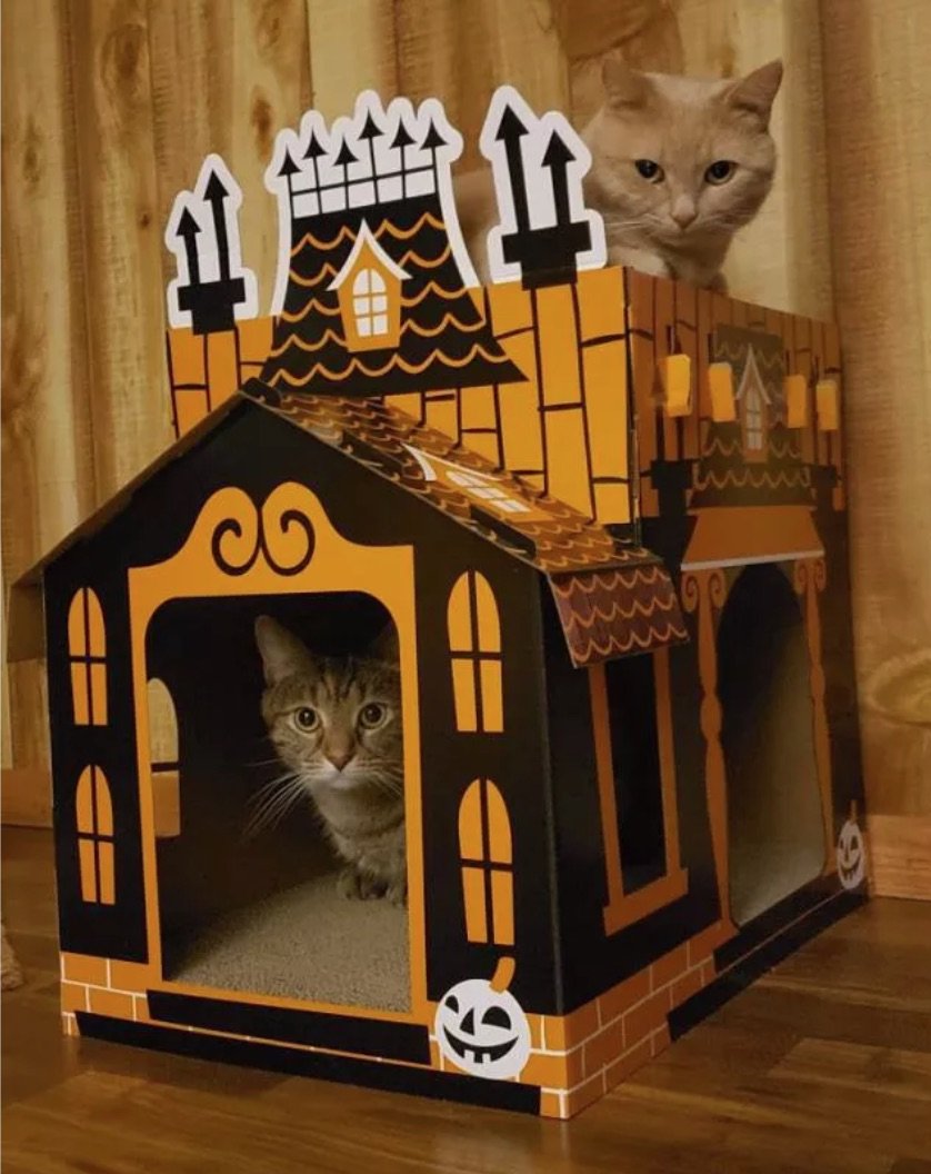 Домик для кошек
