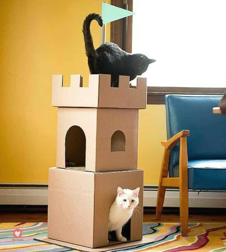 Домики для котов из коробок