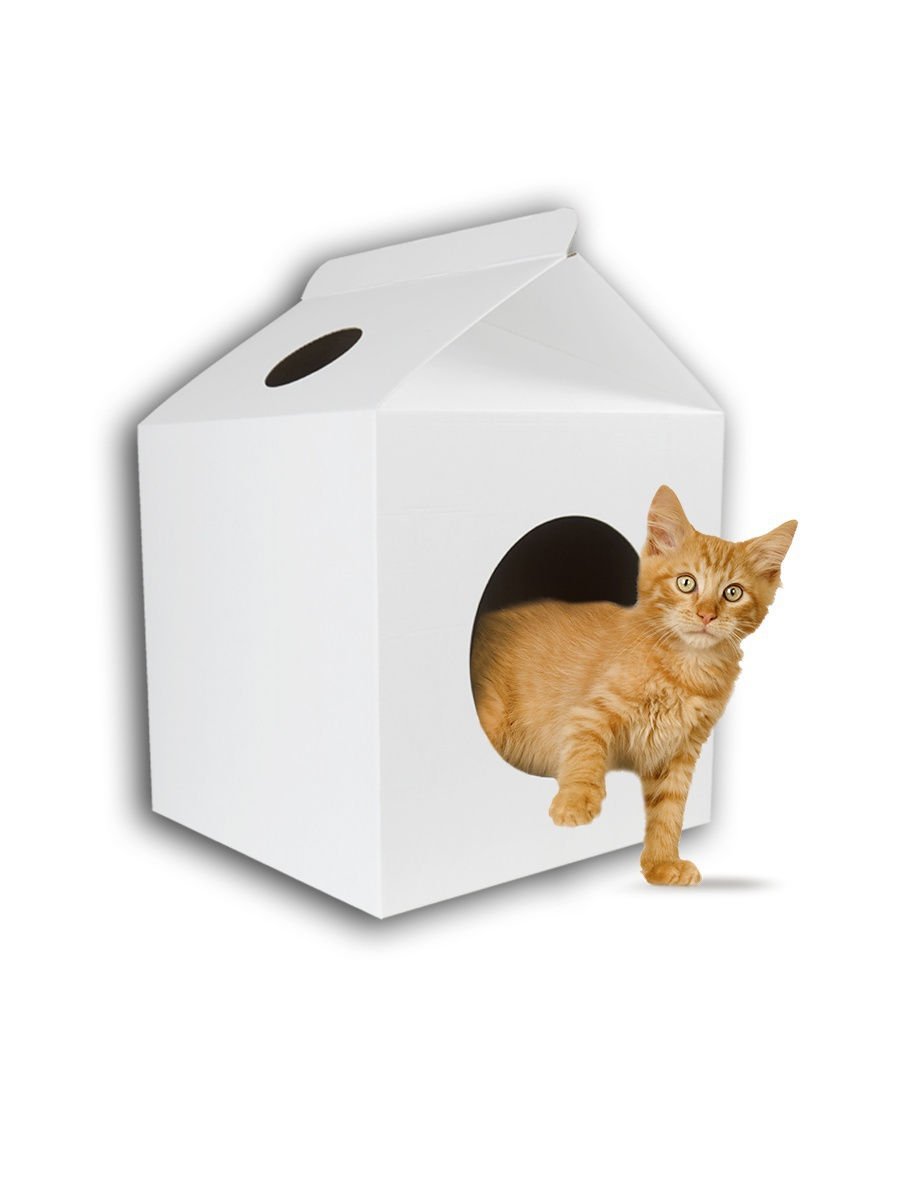 Дом для кошки из коробки