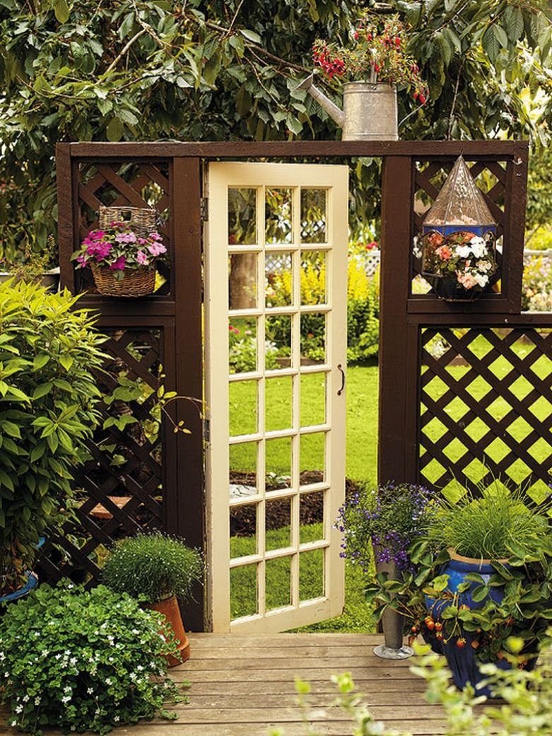 Гарден гейт (Garden Gate) плетистая