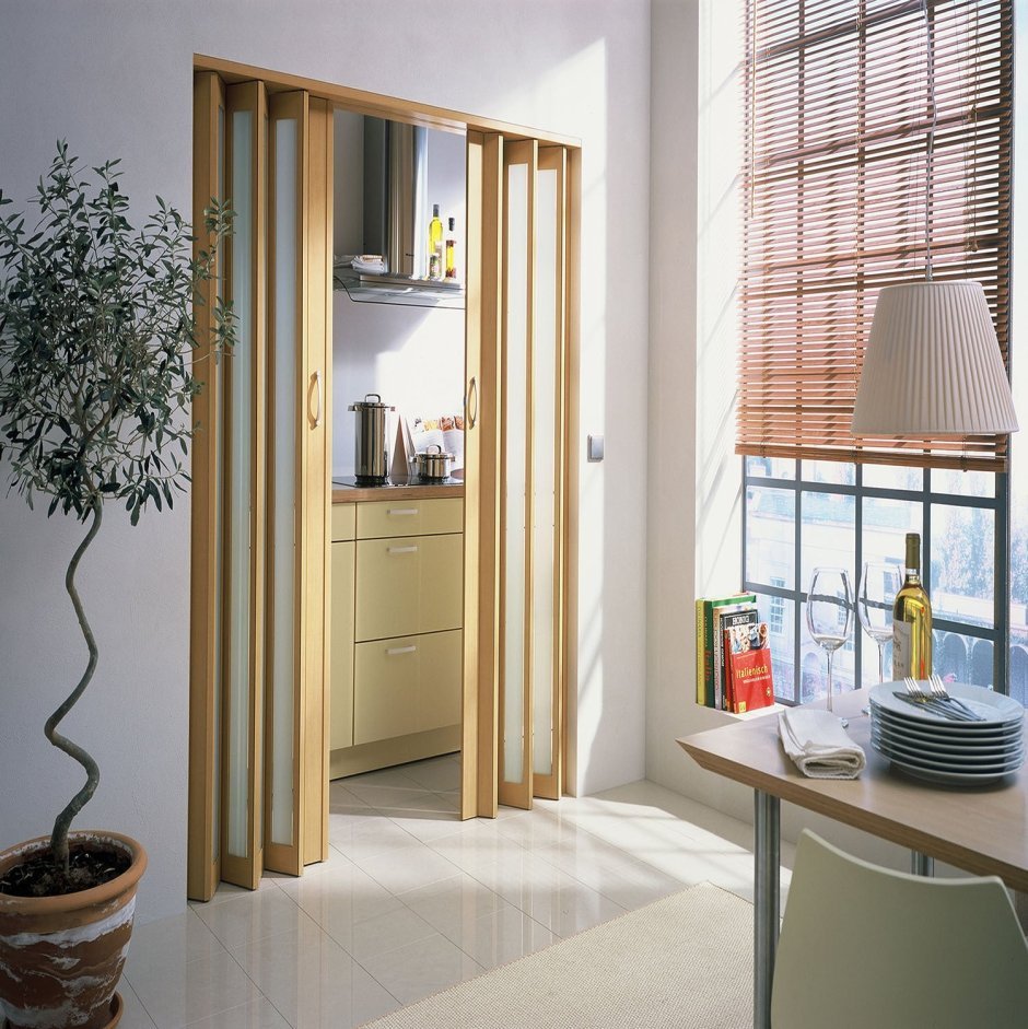 Складная дверь Folding Door