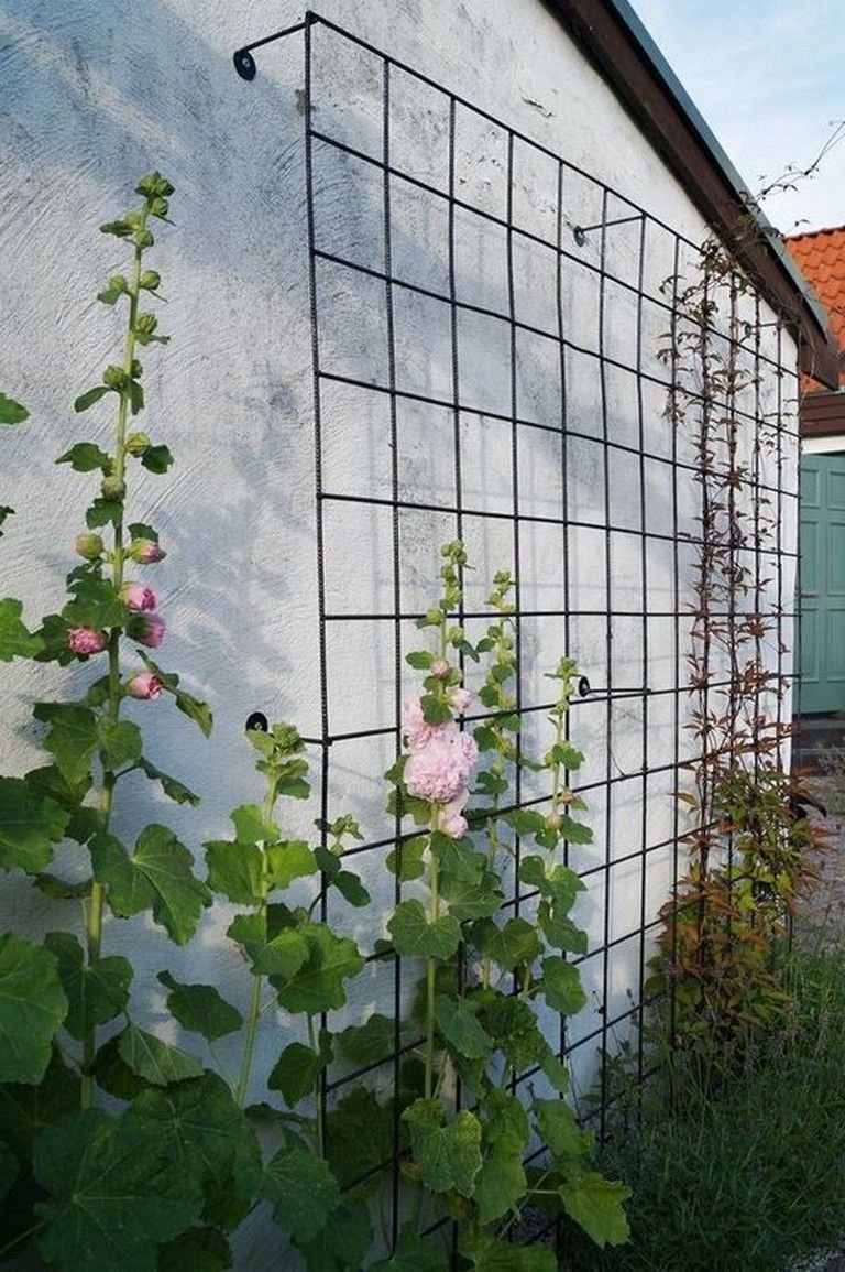 Сетка Шпалерная для роз Garden