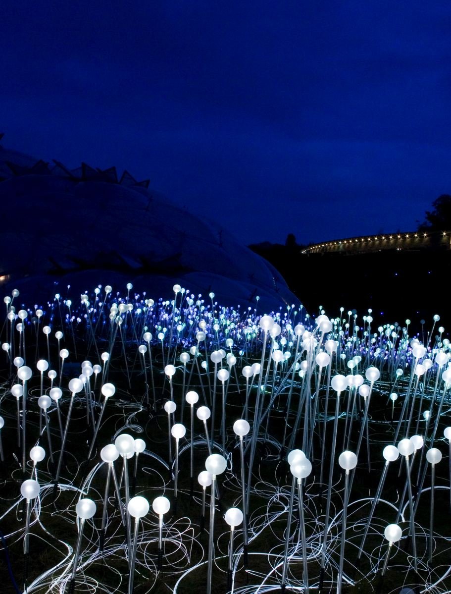 Field Lightning Design China