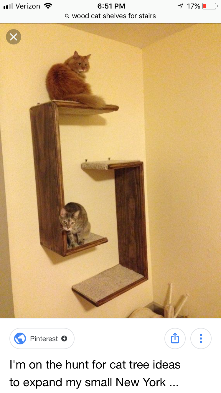 Лесенки полочки для кошки