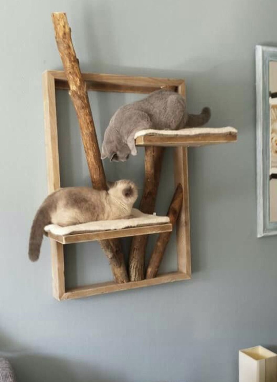 Полки для кошек на стену