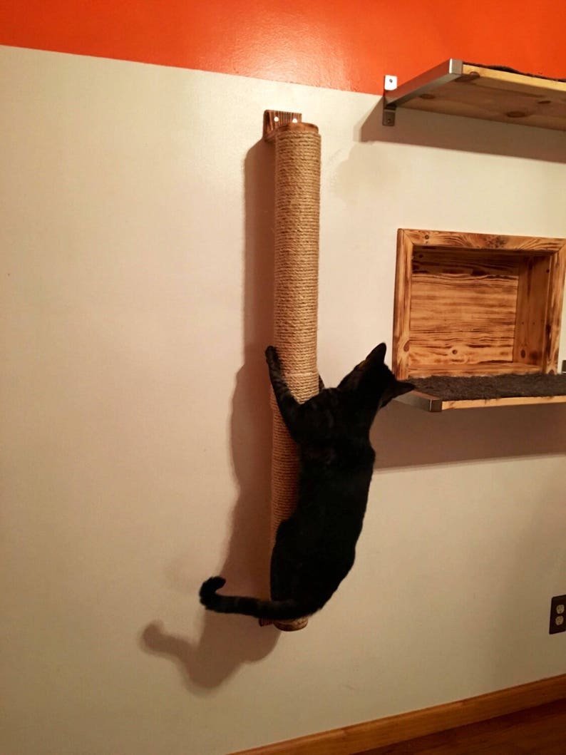 Полки по стене для котов