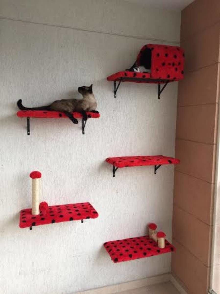 Полки домики для кошек на стене