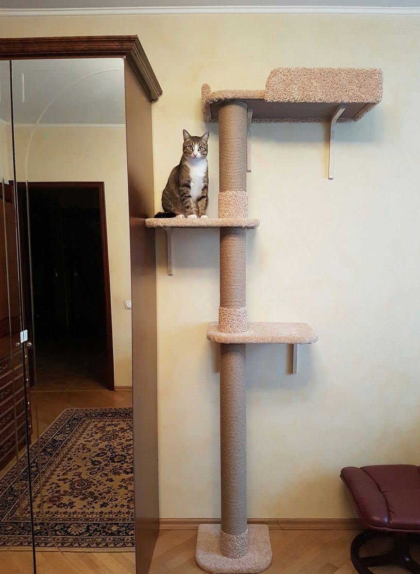 Настенный домик Эверест для кошки