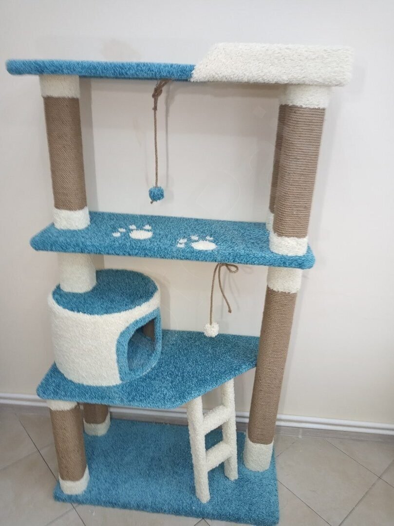 Кошачий комплекс для Мейн куна