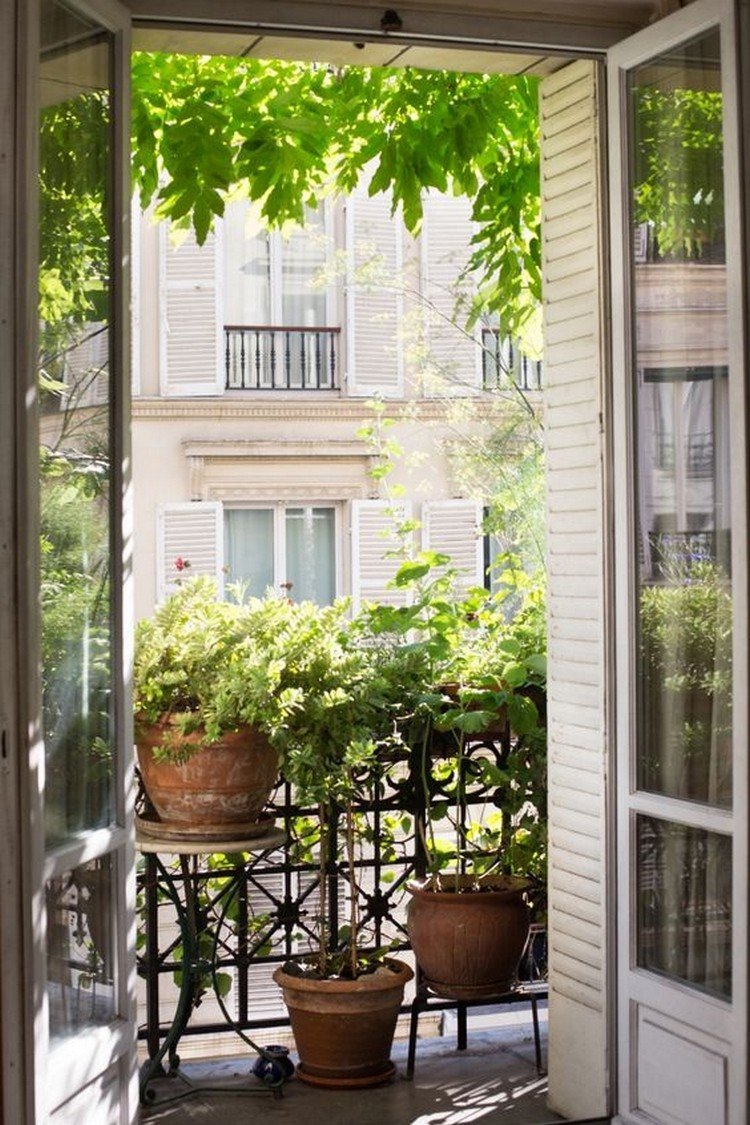 Сад на балконе цветы