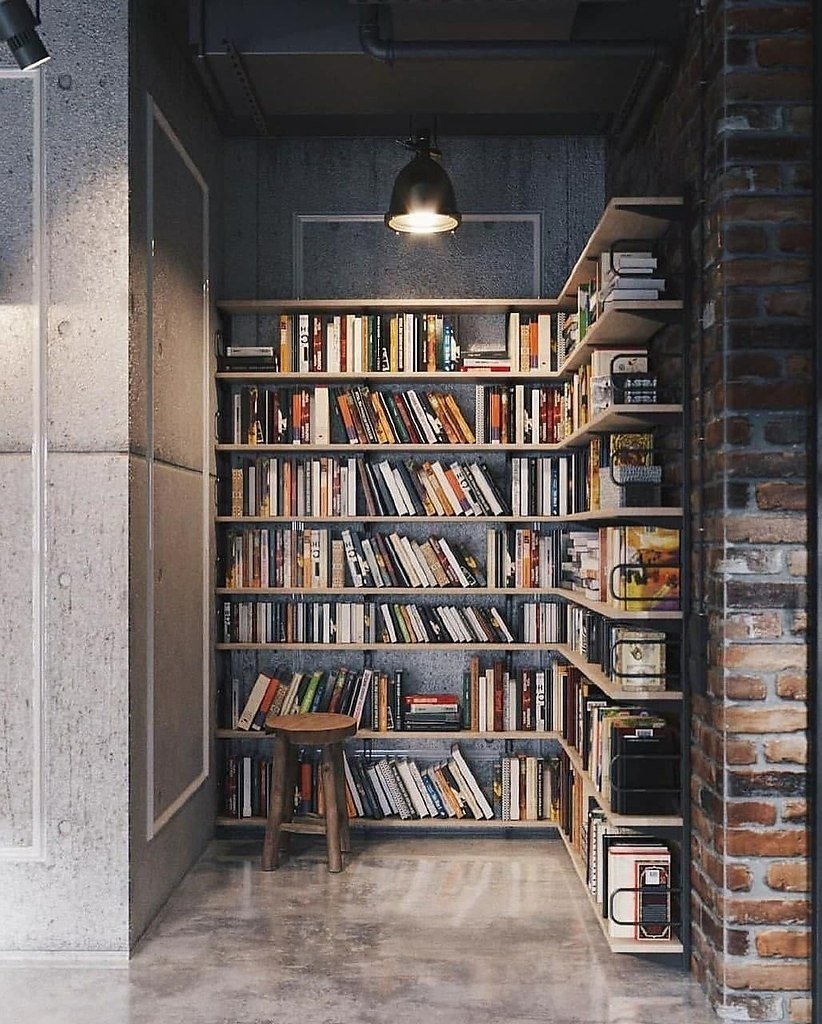 Лофт «книжный шкаф» НГОНБ