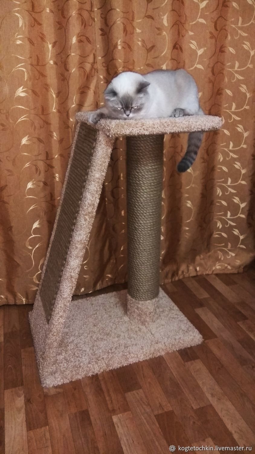 Когтеточка мишустик