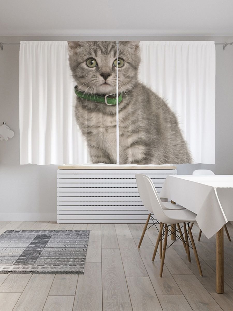Шторка с котом