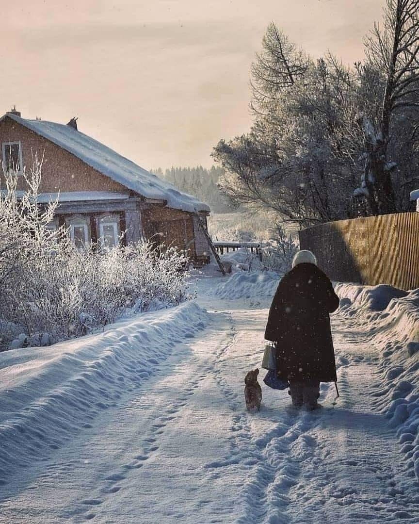 Деревня зимой