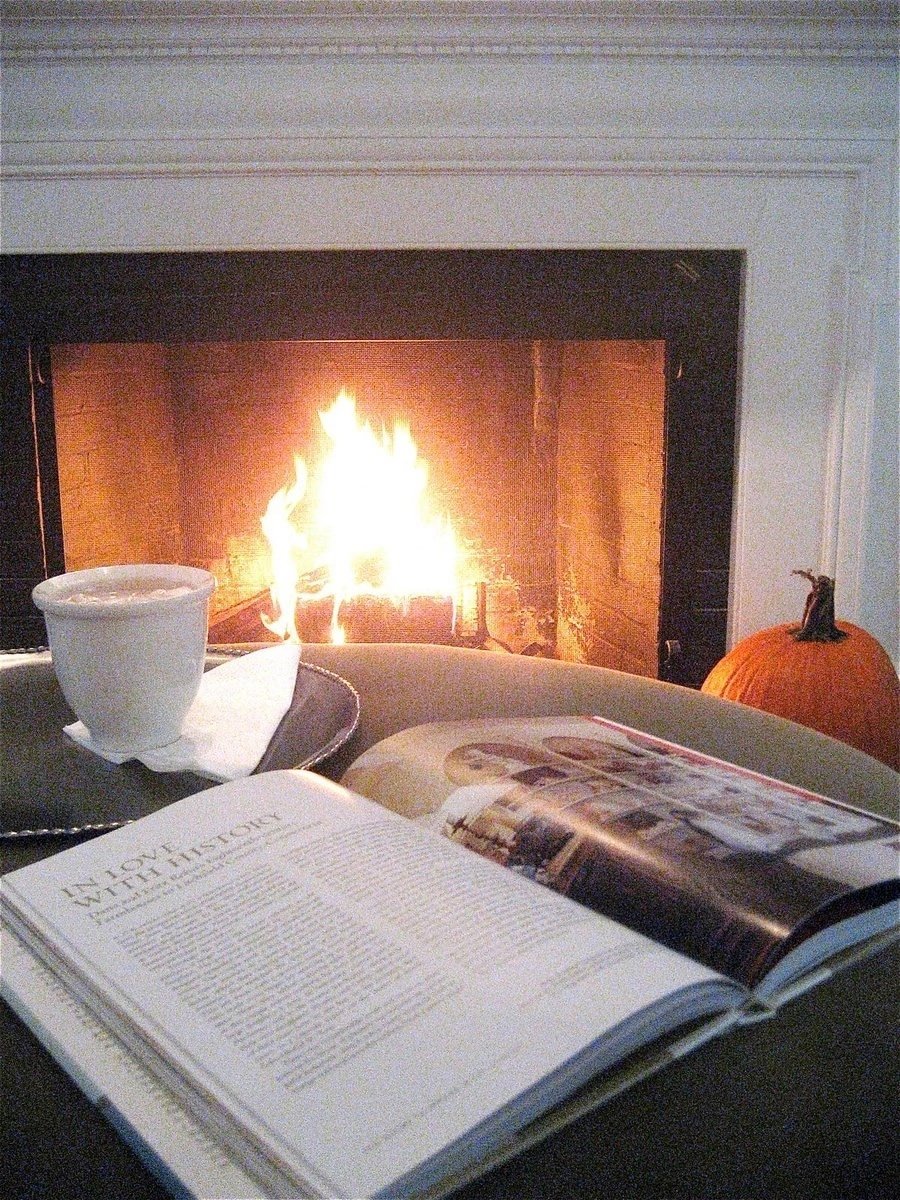 С книжкой у камина