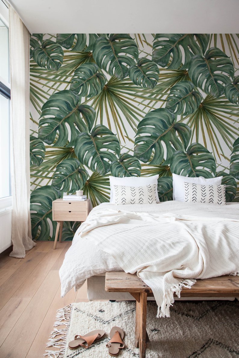 Обои Monstera
