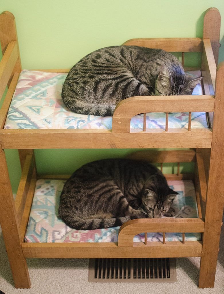 Кровать для кошки