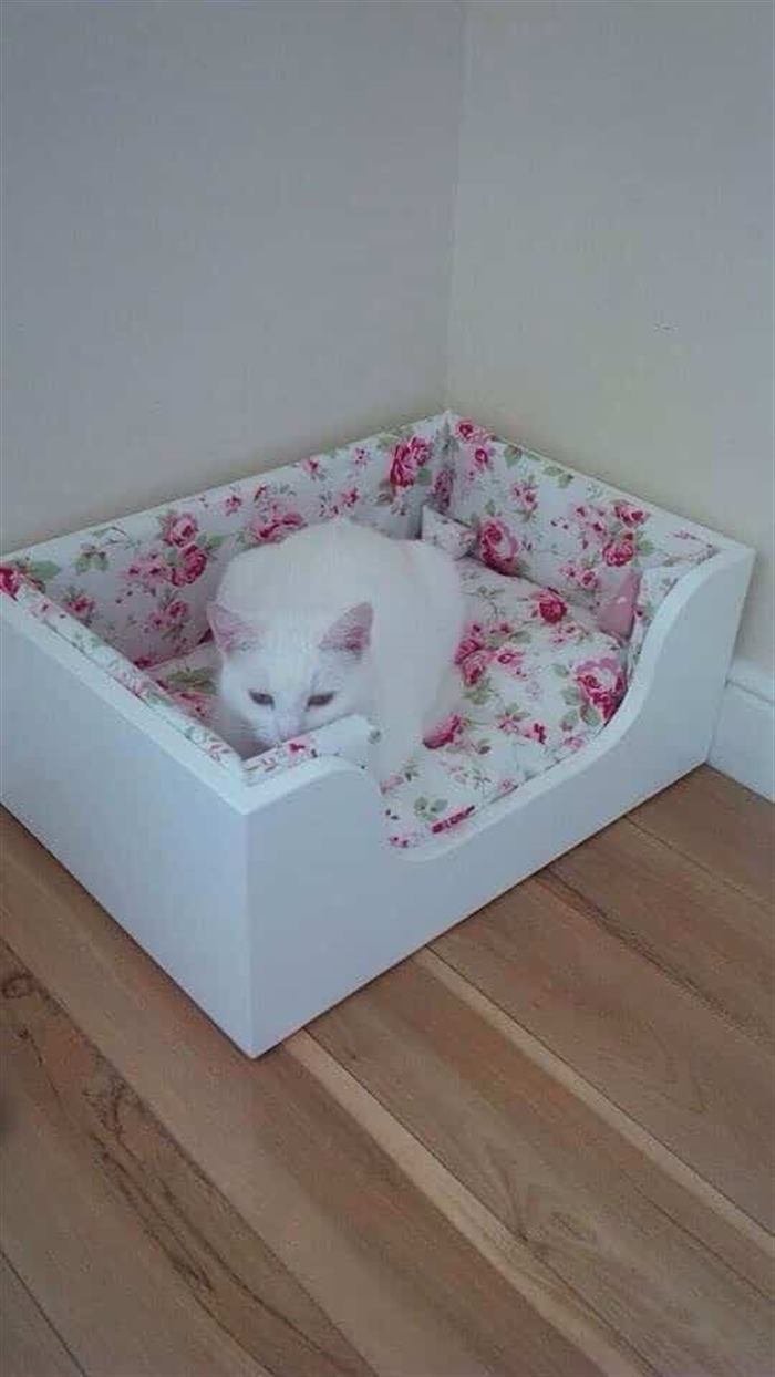 Кот в кровати