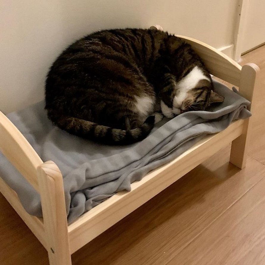 Кроватка для кота икеа