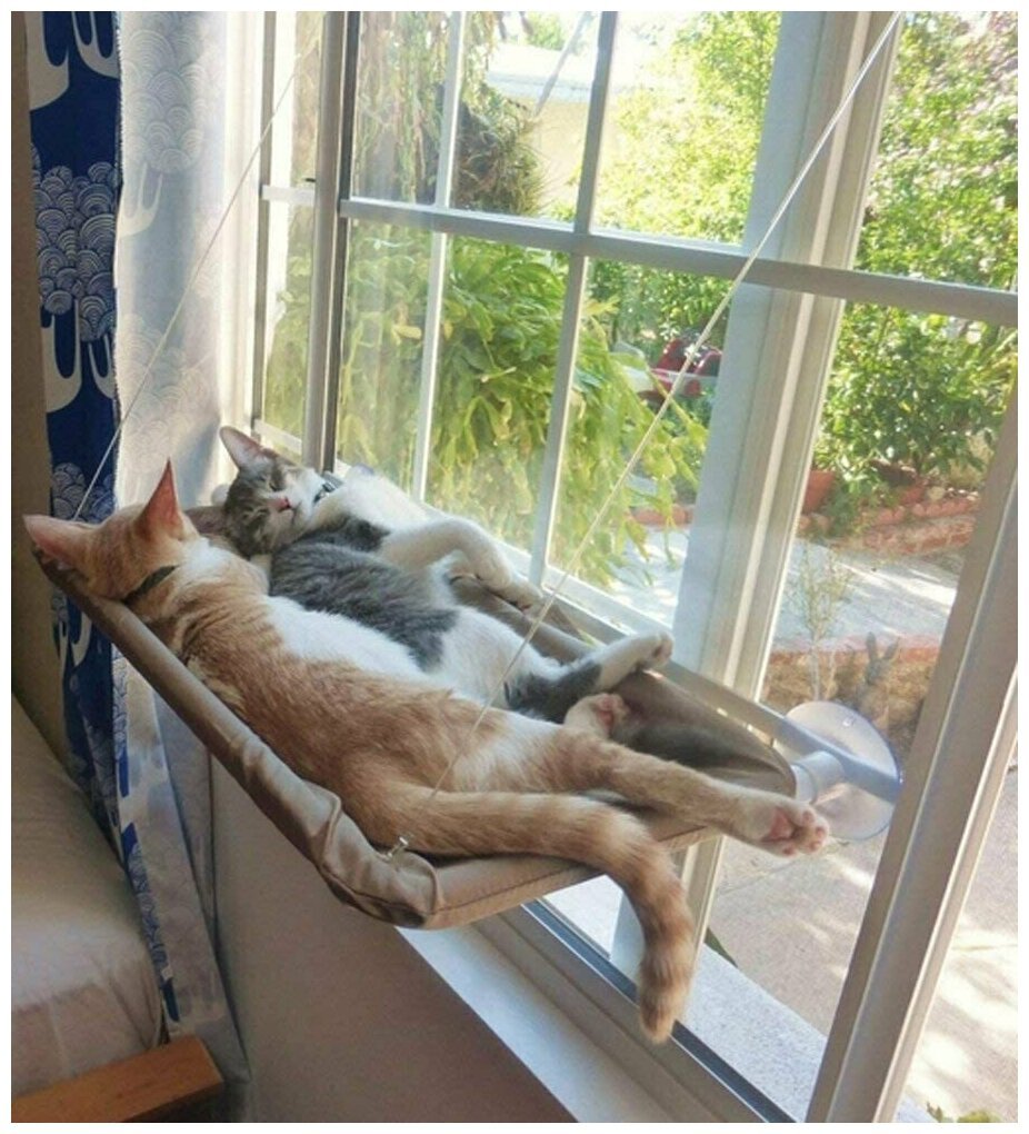 Лежанка для кота на окно