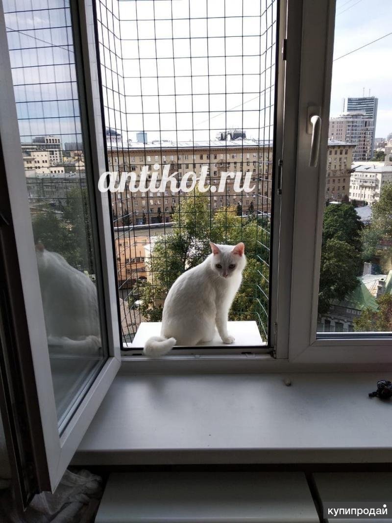 Кошачий балкон