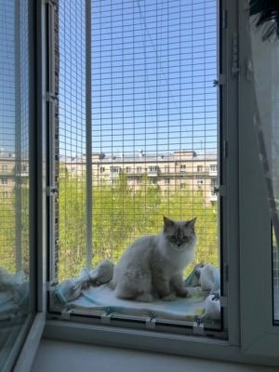 Балкончик антикошка