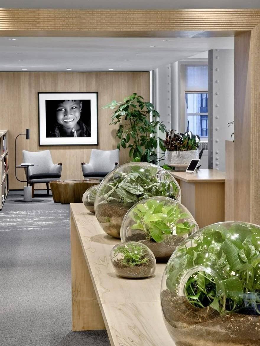 Биофилик (Biophilic) дизайн