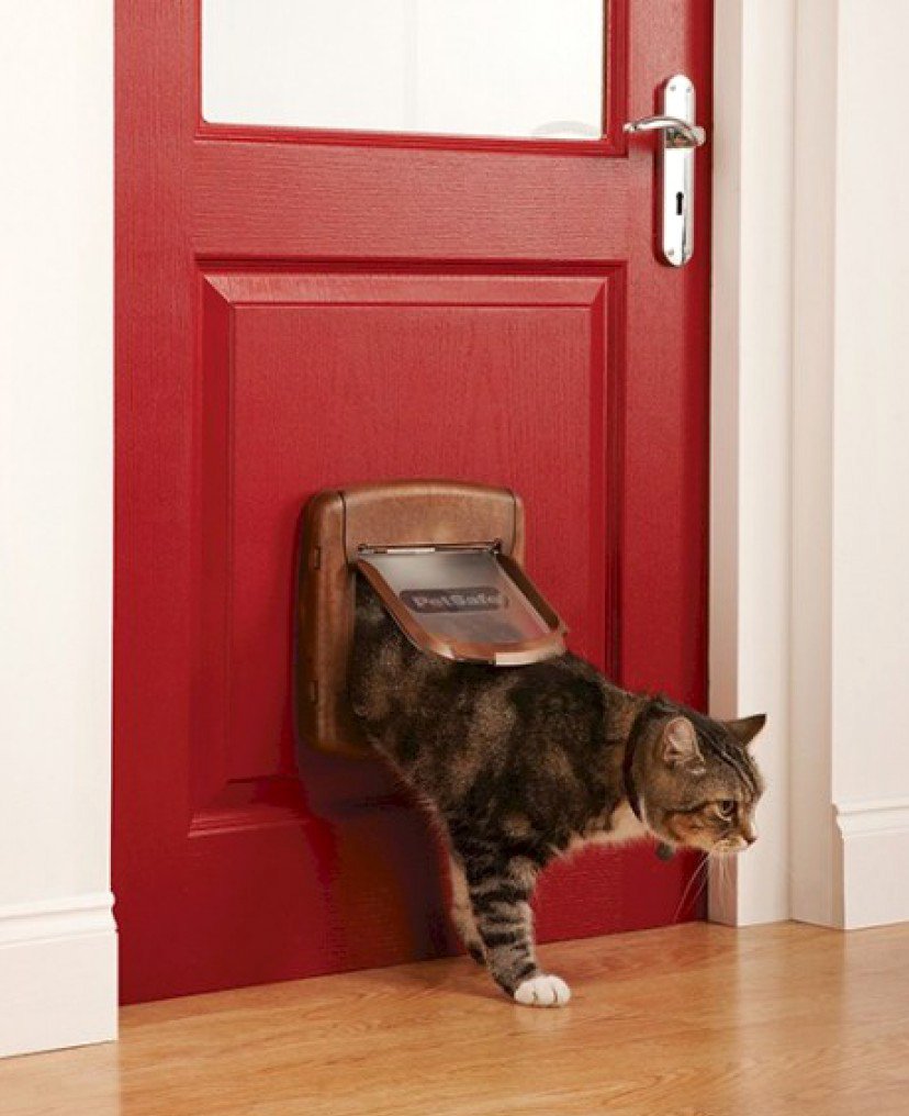 Petsafe Staywell Deluxe дверь для кошек