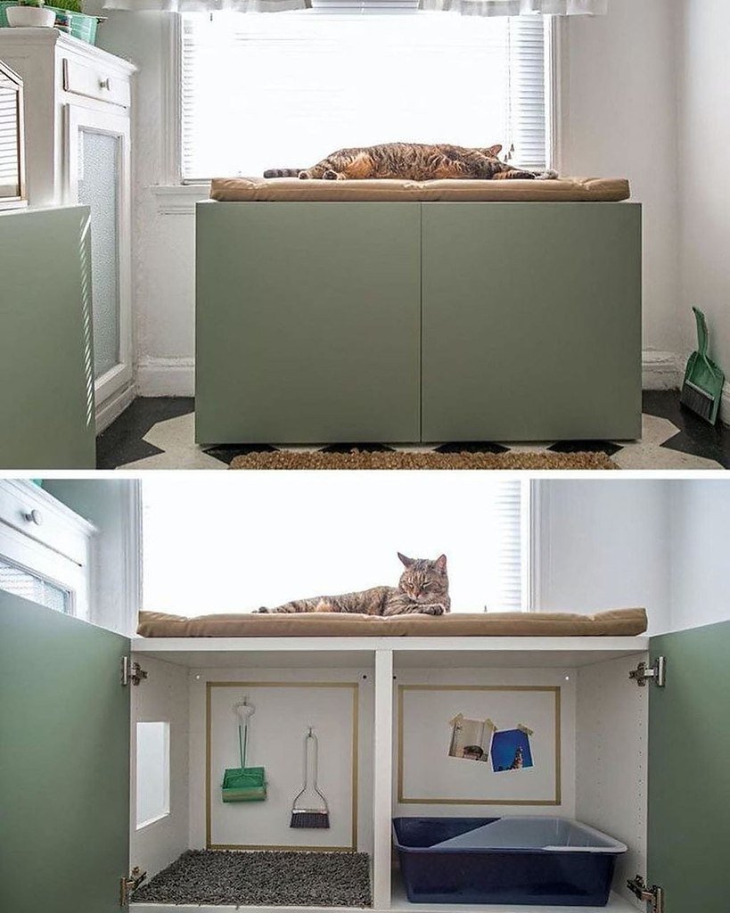 Кошачий туалет в шкафу