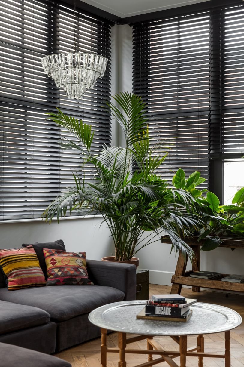 Blinds 3d